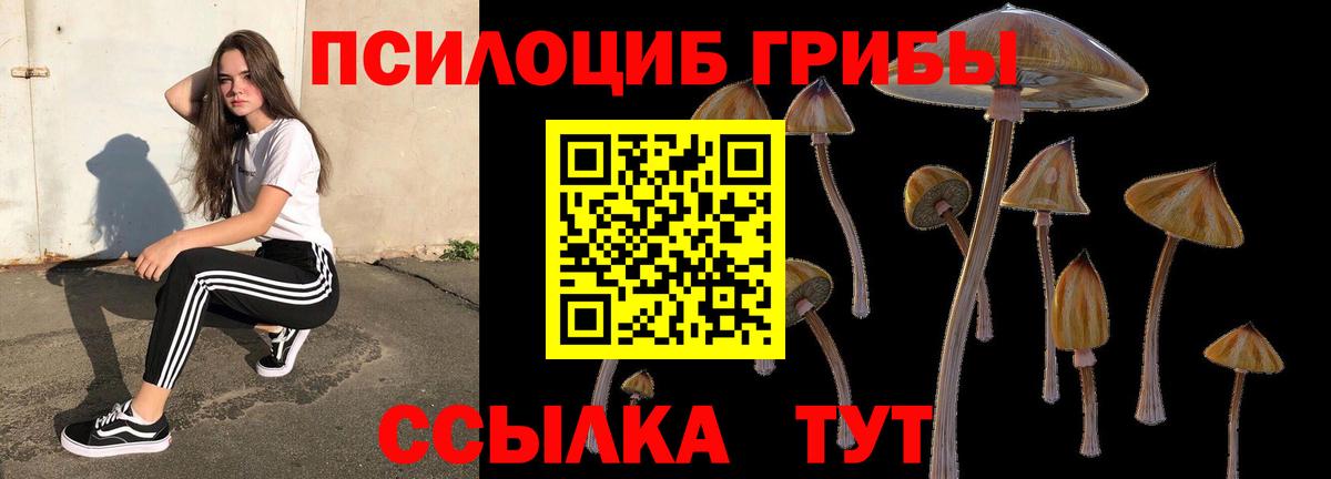Псилоцибиновые грибы Psilocybe Жуковский