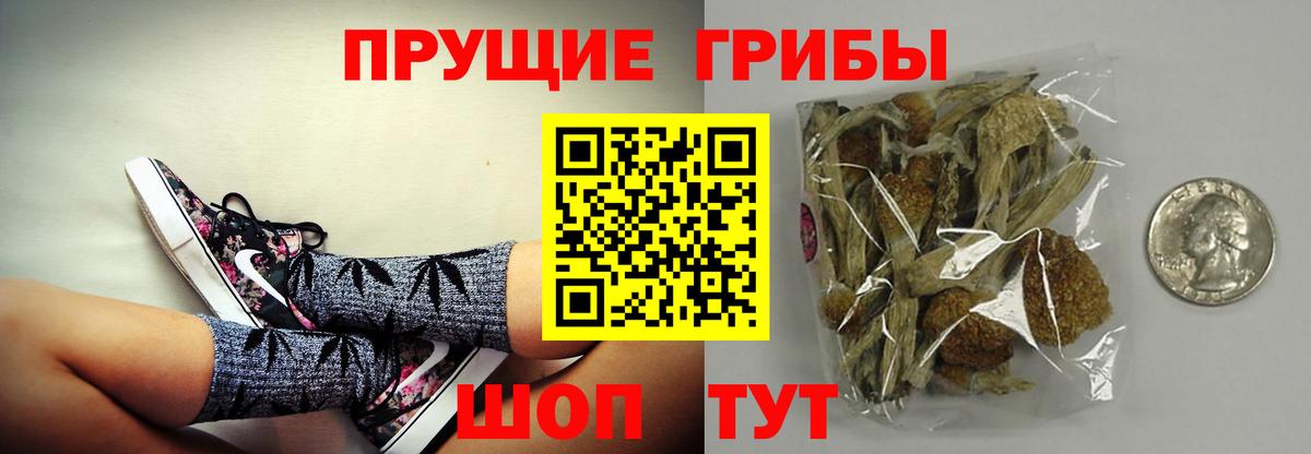 Псилоцибиновые грибы GOLDEN TEACHER  Вход с VPN  Жуковский 